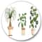 Designart - Trio of House Plants Ponytail Palm and Ficus - Traditional Metal Circle Wall Art